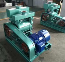 保定2BE水環真空泵